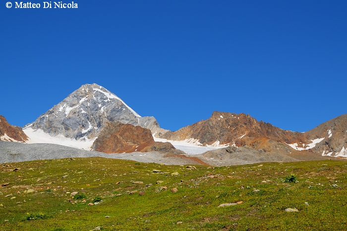 un po'' di flora dal Gavia