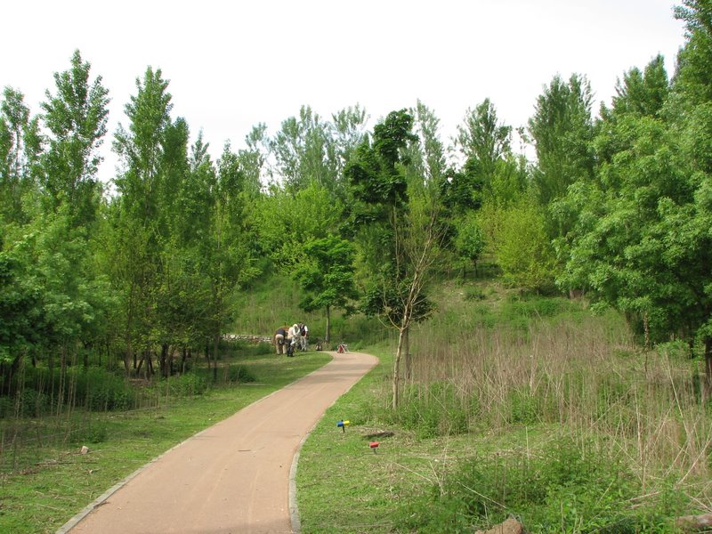 Parco degli Aironi (Varese) (vari artropodi)