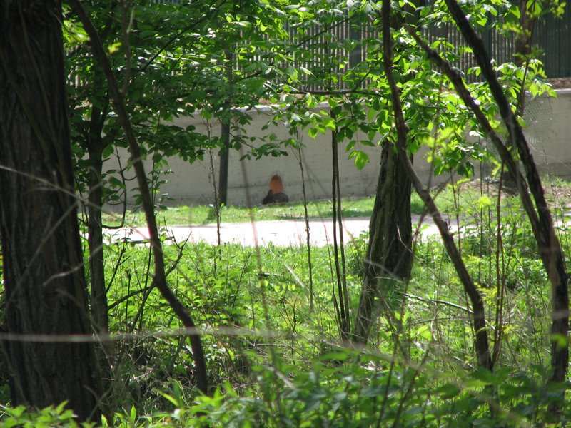 Parco degli Aironi (Varese) (vari artropodi)