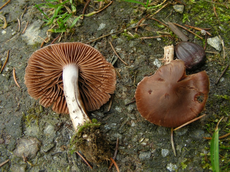 Escursione in riva al lago