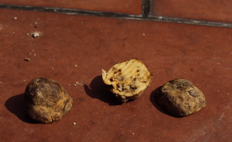 Ipogeo (per me) misterioso