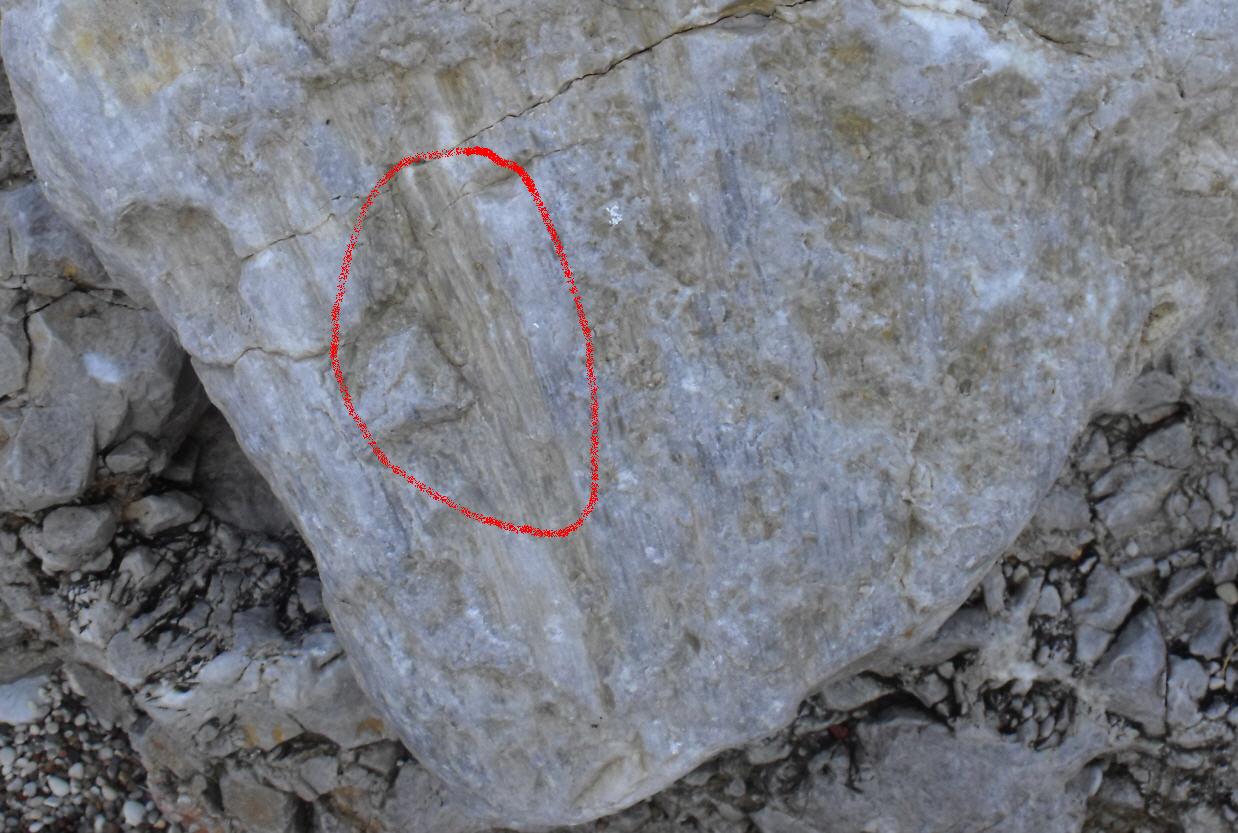 Minerale o fossile