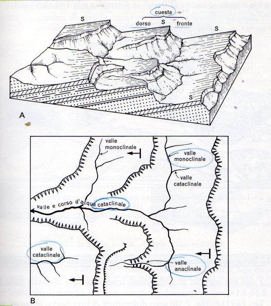 valle cataclinale