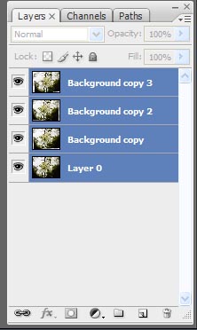 PHOTOSHOP CS3 extended: un sistema per ridurre il rumore