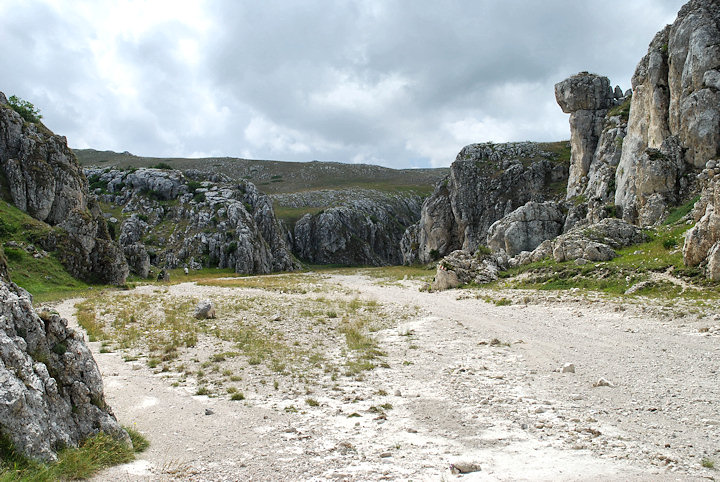 Un po'' di farfalle dal canyon di Campo Imperatore