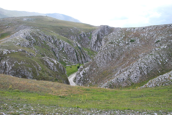 Un po'' di farfalle dal canyon di Campo Imperatore