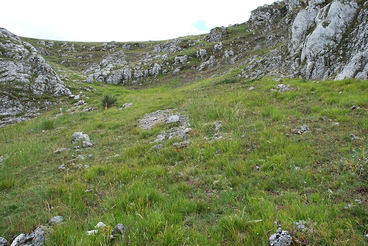 Un po'' di farfalle dal canyon di Campo Imperatore