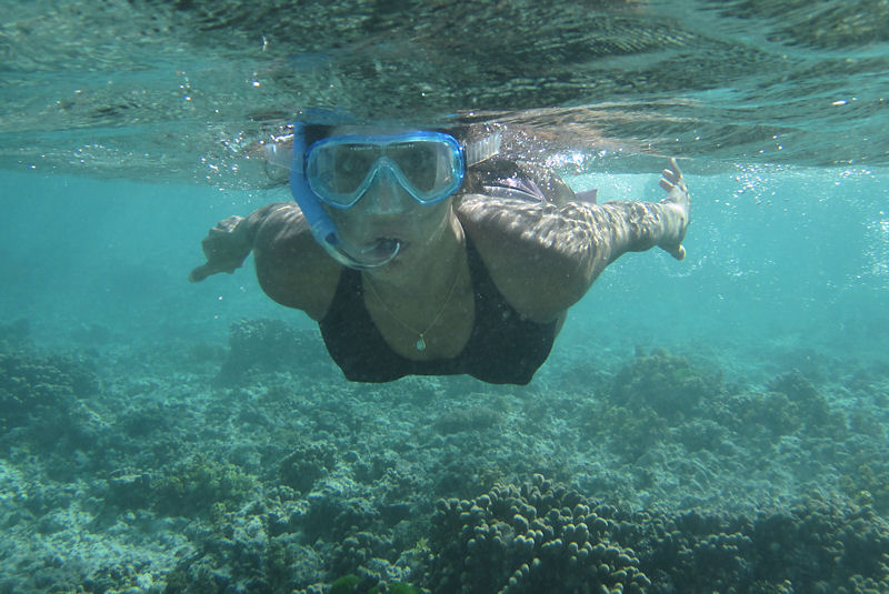 Ritorno alle Seychelles