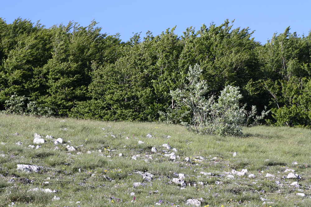 Sul Monte San Vicino