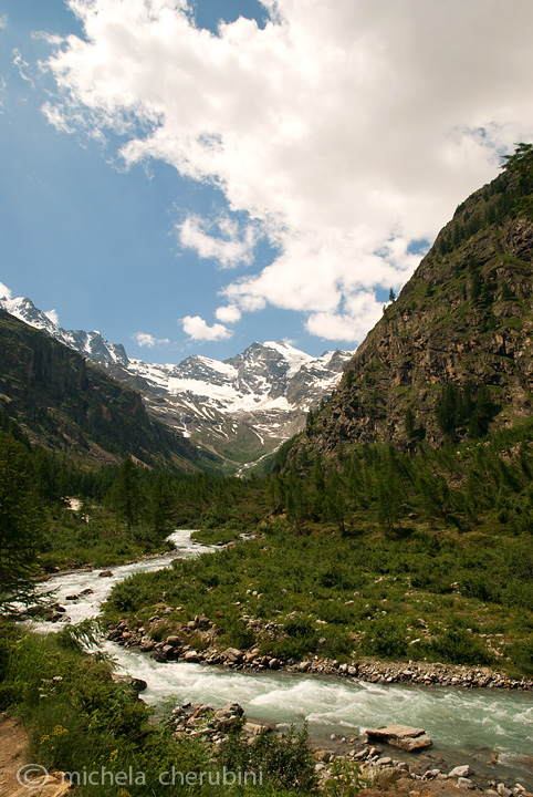 il Gran Paradiso e i suoi animali