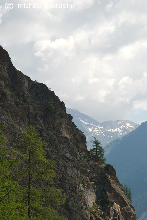 il Gran Paradiso e i suoi animali