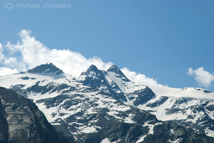 il Gran Paradiso e i suoi animali