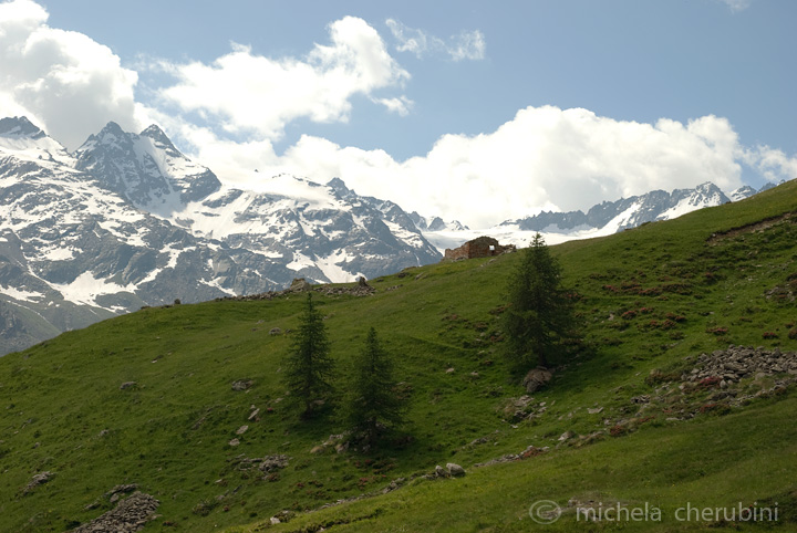 il Gran Paradiso e i suoi animali