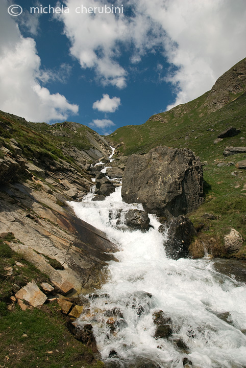 il Gran Paradiso e i suoi animali