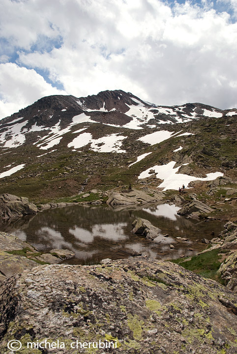 il Gran Paradiso e i suoi animali