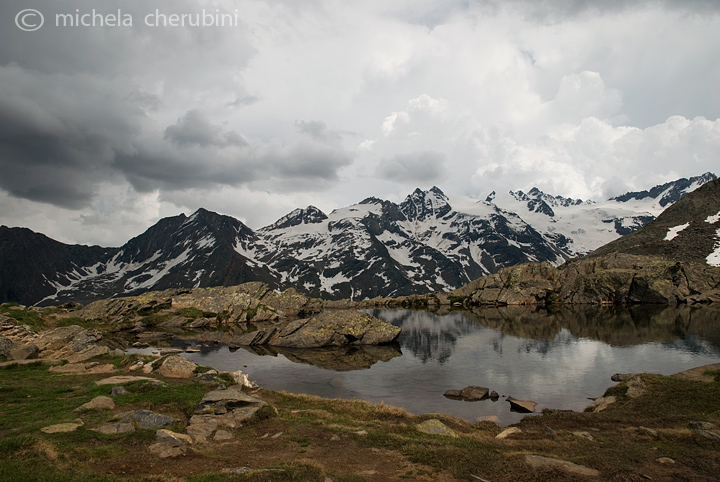 il Gran Paradiso e i suoi animali