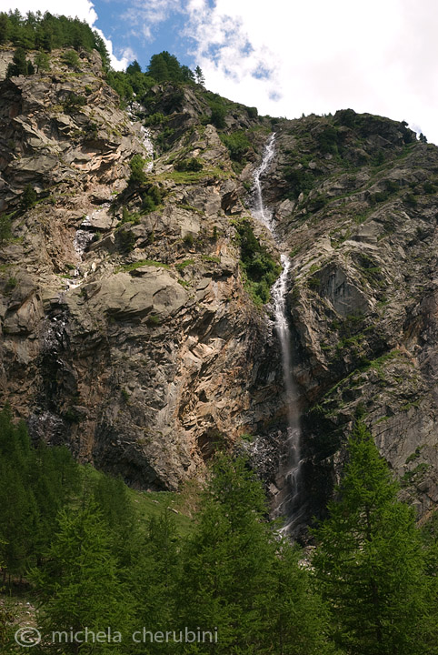 il Gran Paradiso e i suoi animali