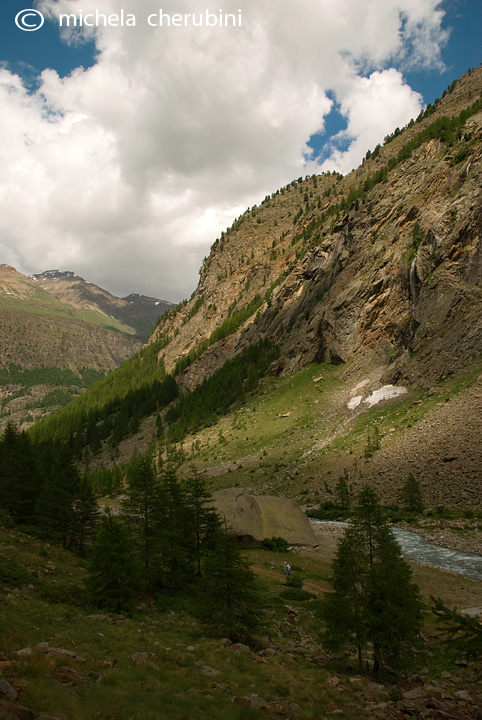 il Gran Paradiso e i suoi animali