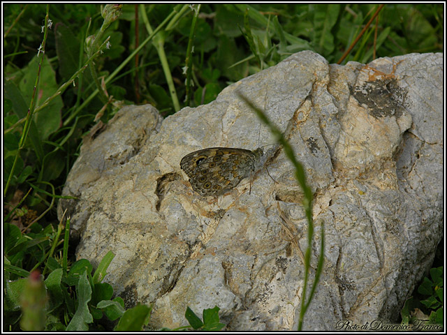 Passeggiando sulle Madonie