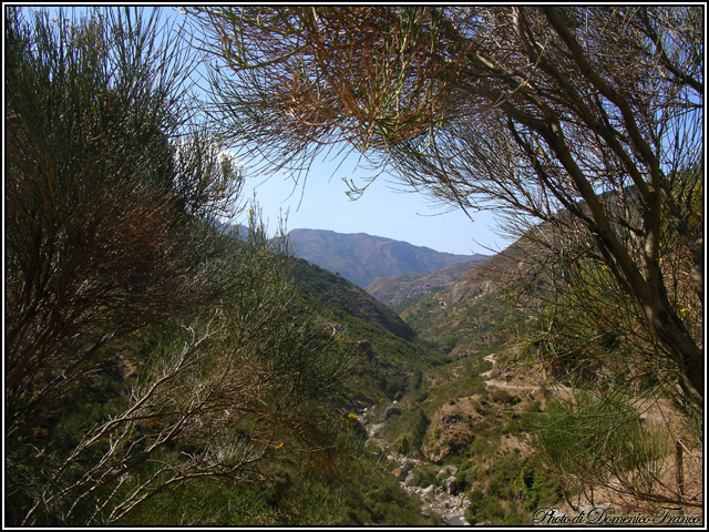 Parco dei Nebrodi, Lago Biviere