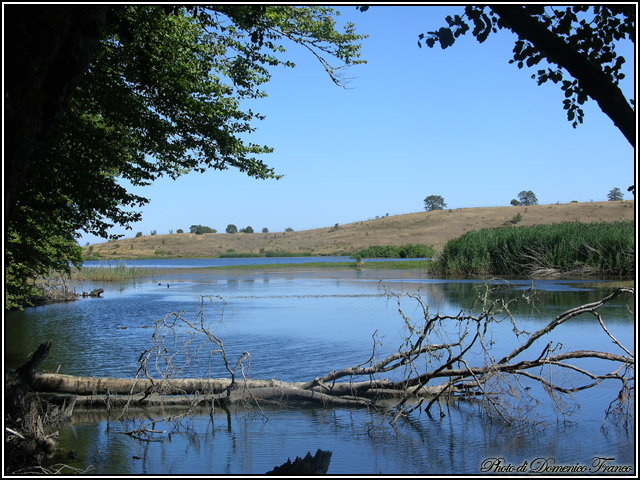 Parco dei Nebrodi, Lago Biviere