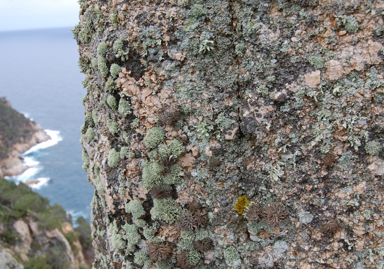 Costa Brava - Girona (Spagna)