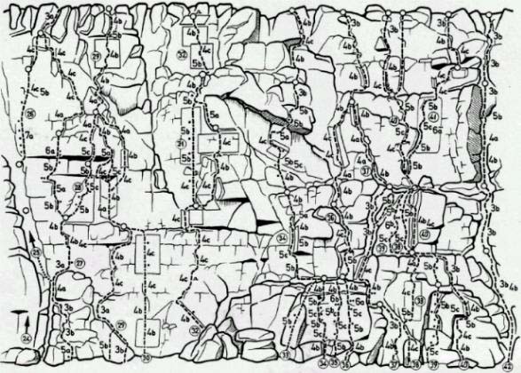 Licheni - Parc Natural del Garraf (Barcelona)