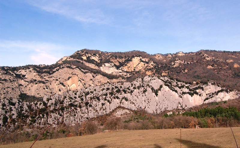 Licheni di Malanyeu (Barcelona, Spagna)