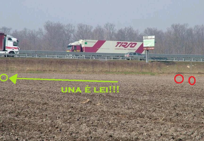 Chi cerca trova
