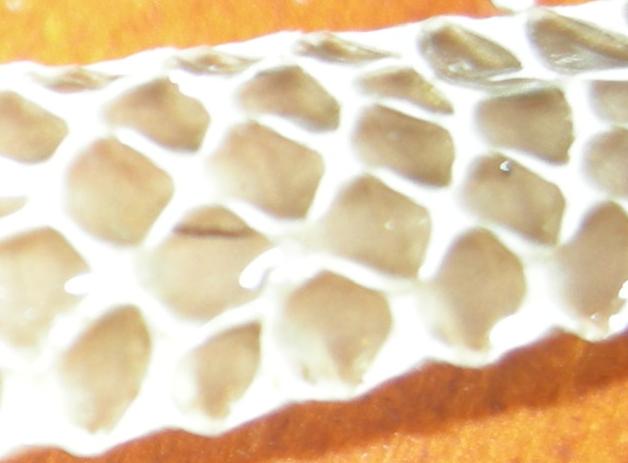 muta da identificare