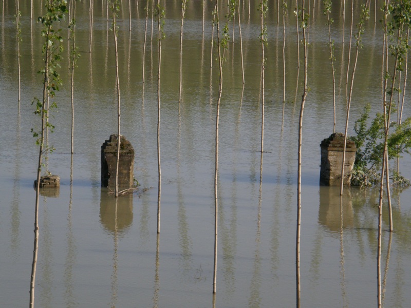 La piena del Po fa tappa in Polesine