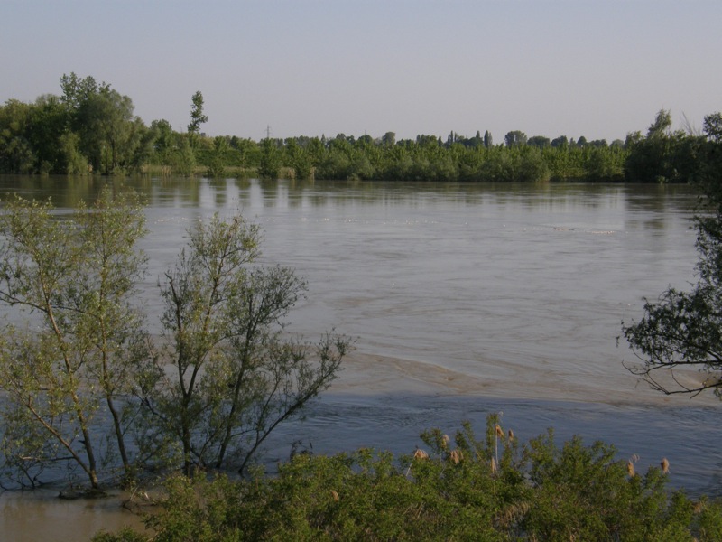 La piena del Po fa tappa in Polesine