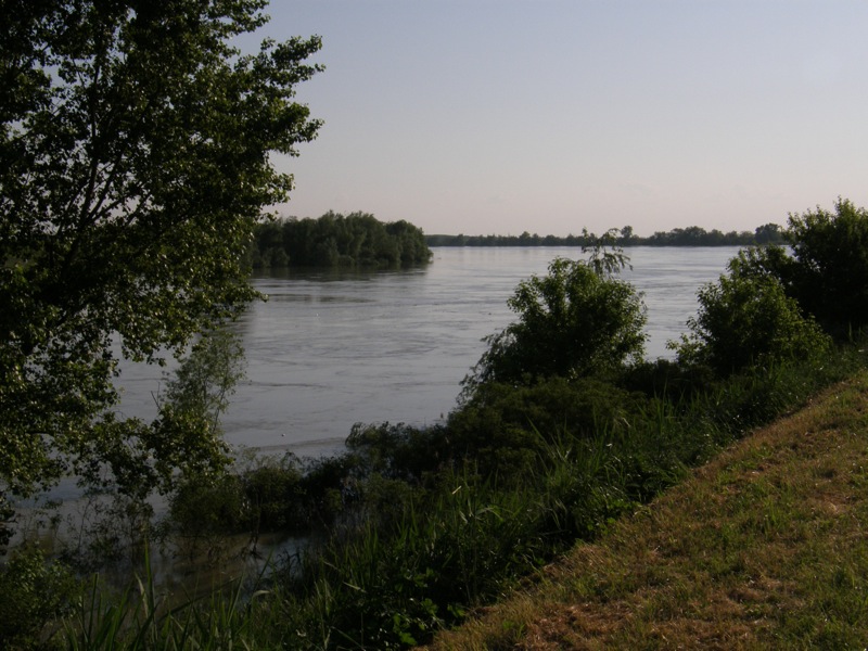 La piena del Po fa tappa in Polesine