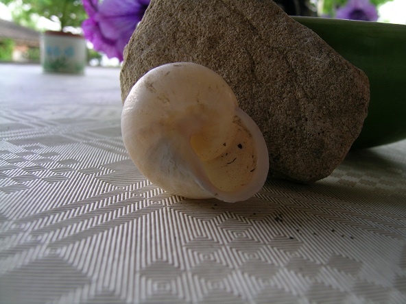 foto 3 e 4