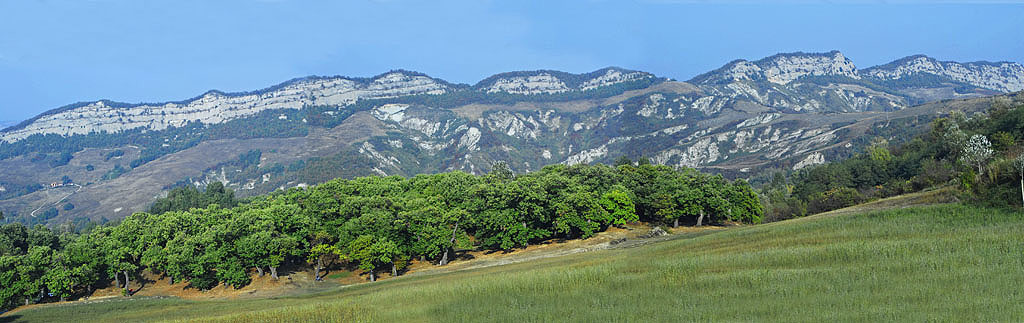 Vena del gesso romagnola