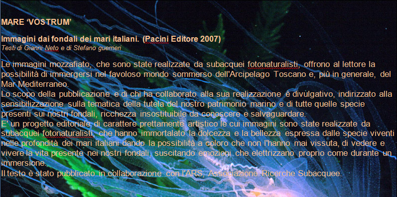 Presentazione libro 