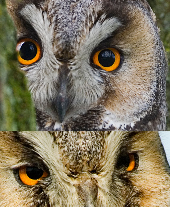 identificazione