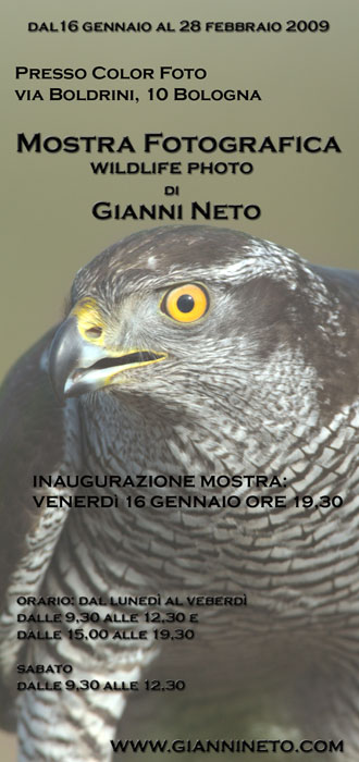 Mostra fotografica