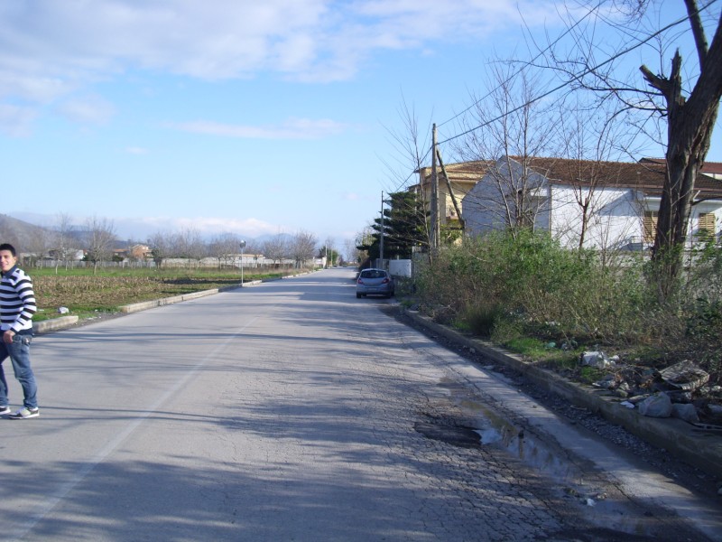 Volpe in pieno centro urbano - Spettacolo spiacevole