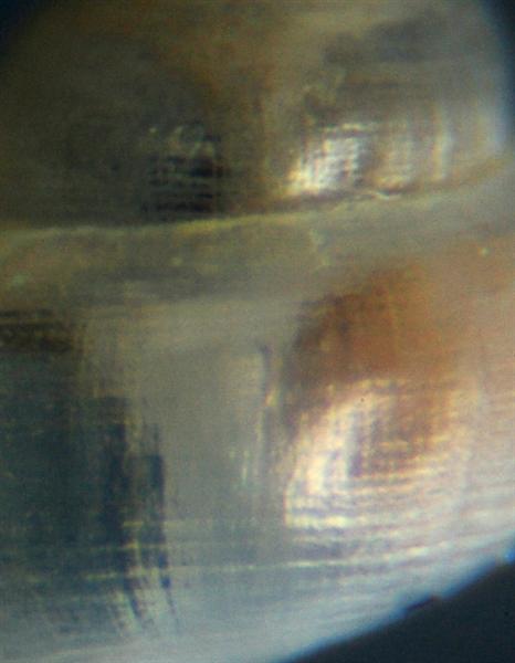 El Palo. detritro playa. Juvenil ?? 7