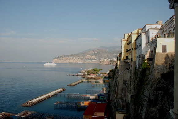 5 ANNI DI FORUM NATURA MEDITERRANEO