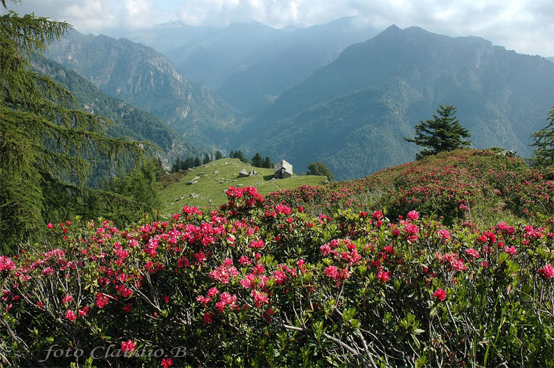 Malghe d''Italia..........
