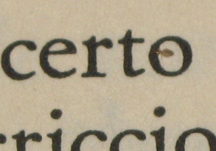 Minuscolo insetto (?) Liposcelis divinatorius