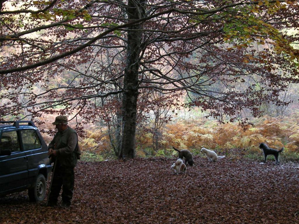 Pollino 26.10.08