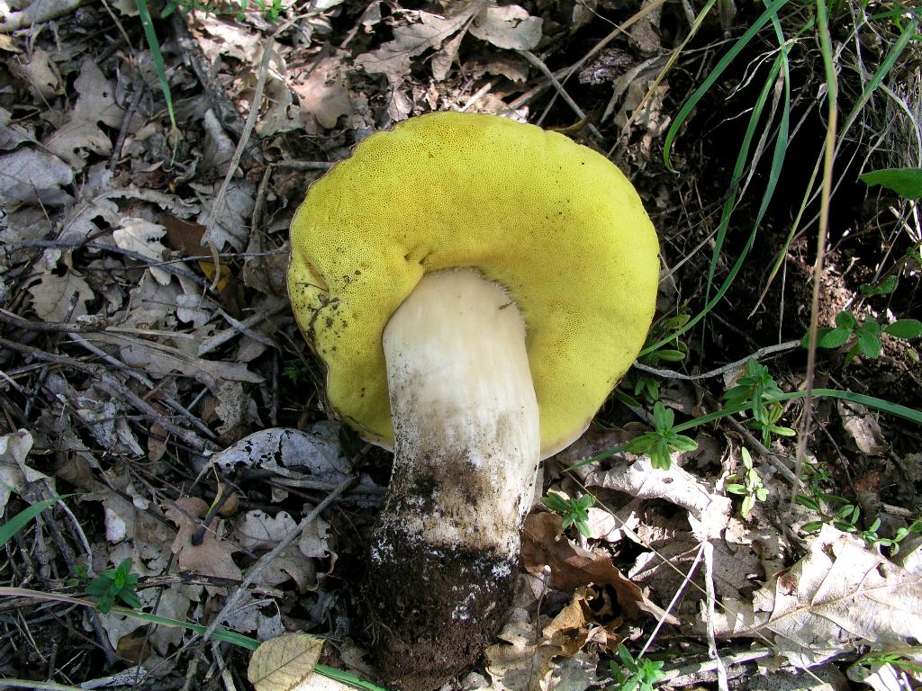 Per me non � facile.