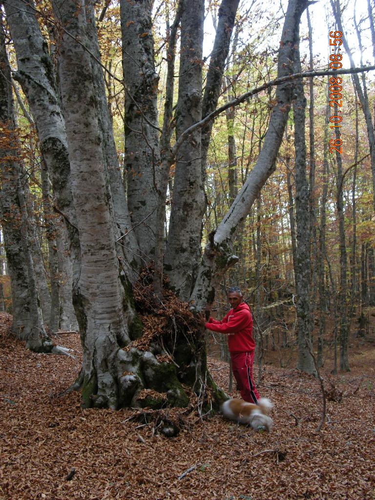Pollino 26.10.08