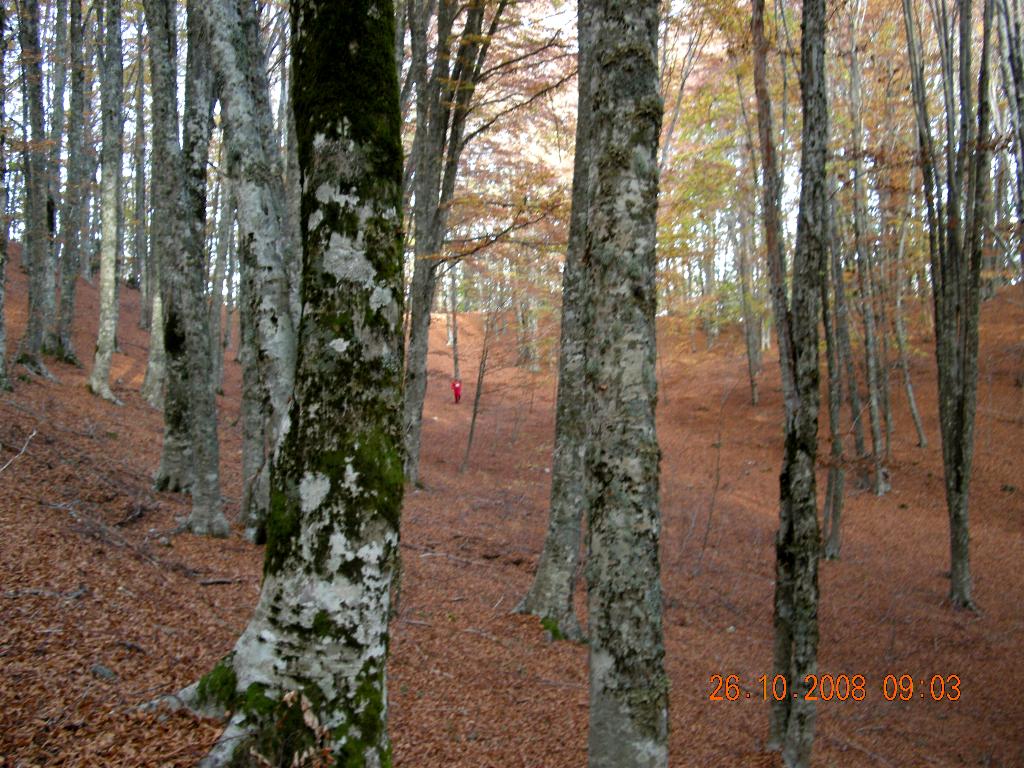 Pollino 26.10.08