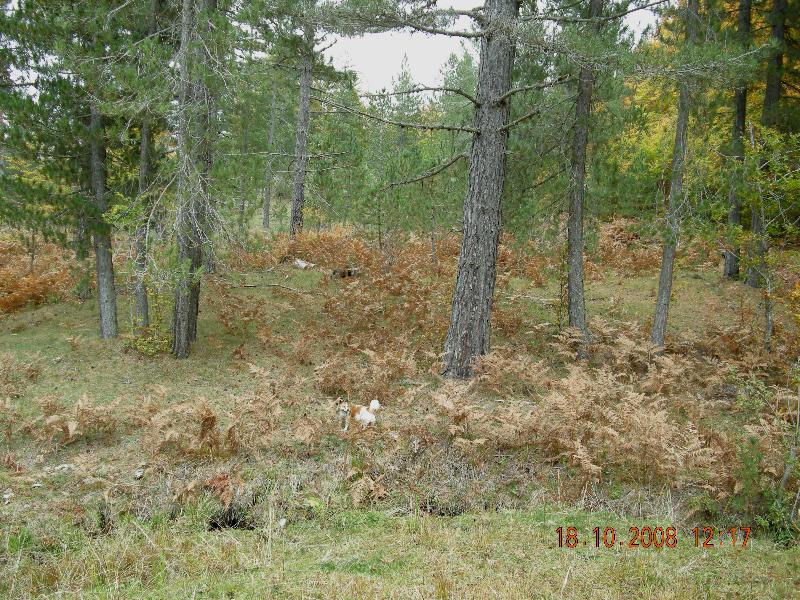 Escursione del 18.10.08