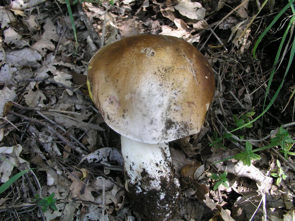 Per me non � facile.