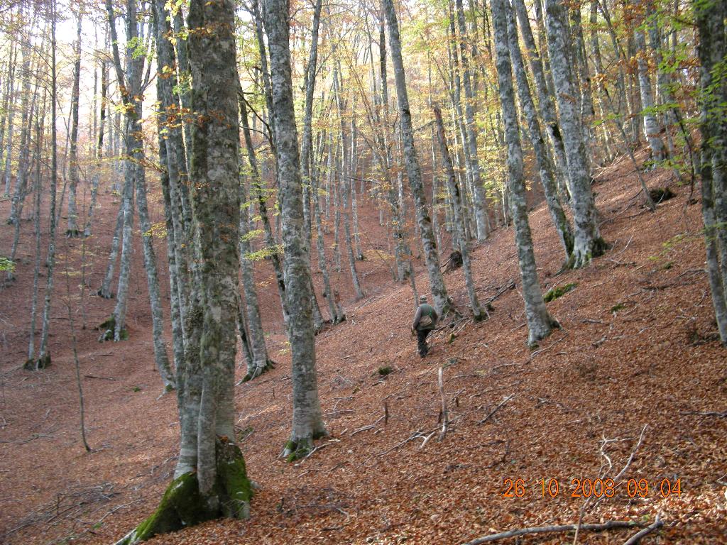 Pollino 26.10.08